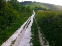 Chalky path of the South Downs