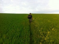 Dimas Splitting the fields